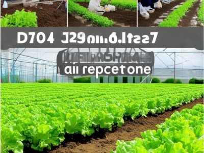 DB34/T 5085-2025 生菜栽培技术规程深度解析与田间应用实证