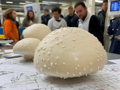大白口蘑保育与加工技术规程解读与应用研究——T/YNBX 159-2024