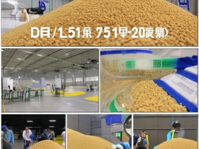 燕麦干草饲料应用标准DB15/T 1576-2019解析与质量控制