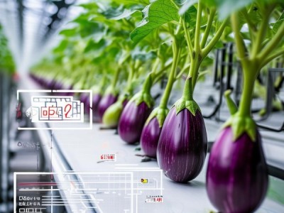 茄子杂交制种技术规程DB42/T 2201-2024深度解析与应用指南