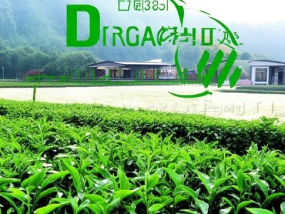 婺源绿茶有机认证新纪元，DB36/T 496-2018标准下的标识与销售革新