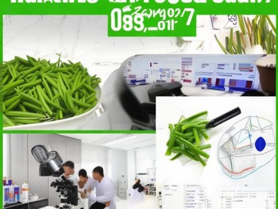 海南黄花梨叶食品安全地方标准DBS46/003-2021深度解读及实践应用