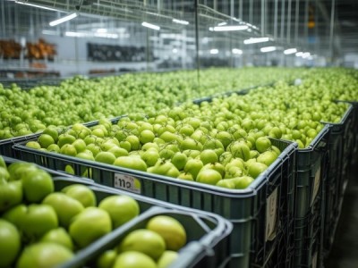 砀山酥梨贮藏技术规程深度解析及实践应用探讨