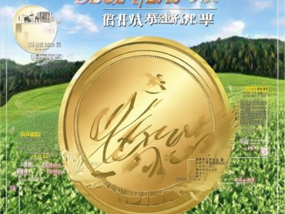 DB22/T 1728-2012 人参安全优质生产技术规程深度解析与应用指南