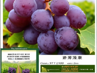 巨玫瑰葡萄等级标准DB32/T 1500-2009深度解析及实践应用