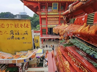 长坝沙田柚，地理标志瑰宝，传承与创新交融的柚子佳品
