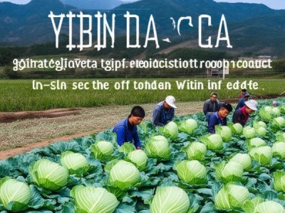 宜宾大头菜地理标志产品生产技术规范解析与应用指南