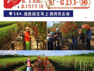 枸杞机械化中耕技术规程解读及DB64/T 1151-2015应用解析