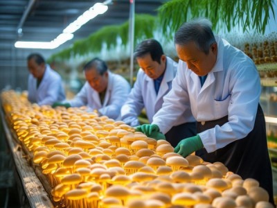 富硒草菇生产技术规程（DB43/T 1112-2015），农业绿色发展新篇章
