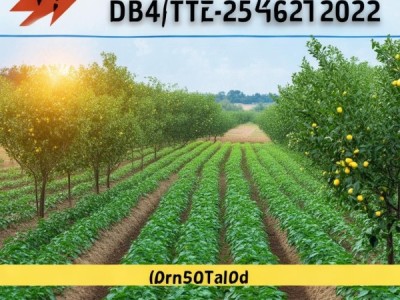 幼龄柑橘果园套种马铃薯栽培技术规程及DB45/T 2547-2022标准深度解析