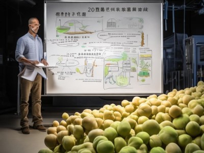 2023版DB15/T 2921标准解读，鹰嘴豆栽培技术规程深度剖析