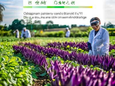 DB43/T 177-2003标准指导下的香芋种植与品质优化策略研究