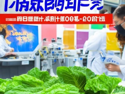DBS62/001-2020 当归食品安全地方标准，护航民众健康，提升当归品质标准