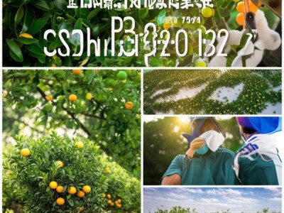 柑橘高接换种技术规程DB43/T 2598-2023深度解析及田间应用案例