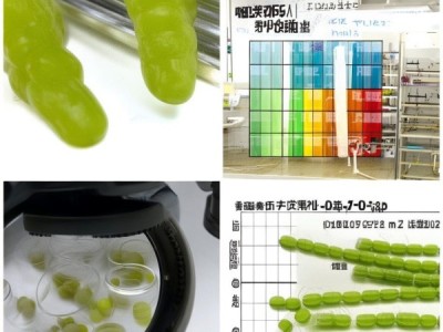 DB1301/T 027-2002标准下藤稔葡萄绿色食品质量研究