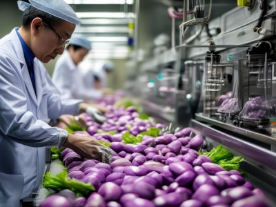 紫山药绿色食品生产技术规程DB36/T 1145-2019深度解析