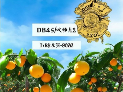 南盛沙糖桔品牌腾飞，DB4453/T 15-2022 地理标志认证助力新篇章