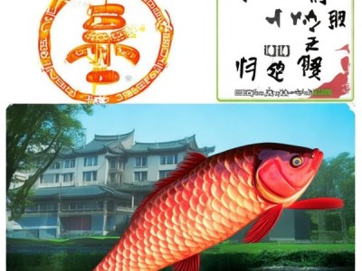 中山脆肉鲩，DB4420/T 1-2022地理标志下的传承与创新
