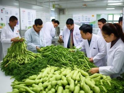 平凉山药绿色食品生产技术规程解析及DB62/T 1222-2004标准应用探讨