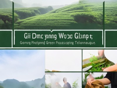 贵定云雾贡茶绿茶加工技术规程解析与应用指南