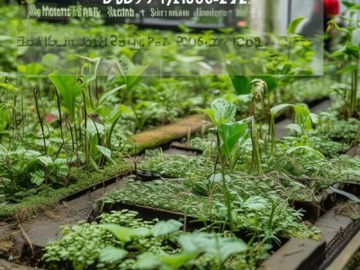 DB52/T 1808-2024 农业野生植物原生境保护区监测技术规程解析与应用研究