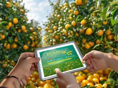 T/GBAS 73-2024标准引领柚产业升级，助力柚子高质量发展新篇章
