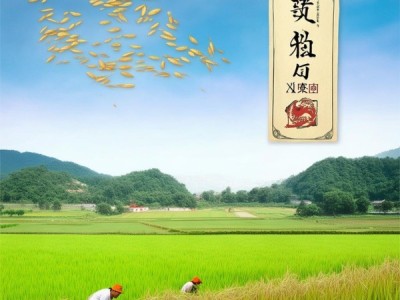孝感香米，地理标志证明商标助力品牌崛起之路