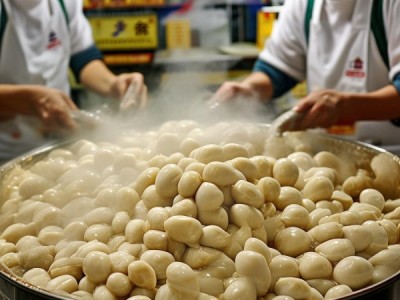 博白桂圆肉地理标志产品加工技术规程解读与应用