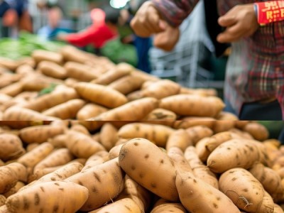 鲜食型甘薯标准化保鲜规程发布，助力品质提升与市场竞争力增强