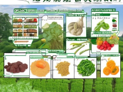 DB42/T 951-2014 有机蔬菜豆类生产技术规程解析与应用指导