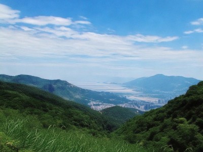 豫西脂尾羊，DB41/T 2010-2020间的传承与创新之旅