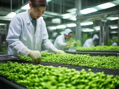 枸杞套南瓜绿色食品生产技术规程标准DB62/T 2809-2017深度解析