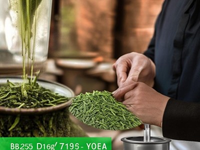永定万应茶，历史传承与DB35/T 1498-2015标准下的创新发展
