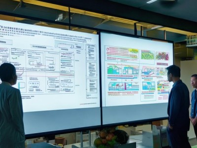 T/GBAS 16.11-2023标准解析，蔬菜质量安全规范与保障体系