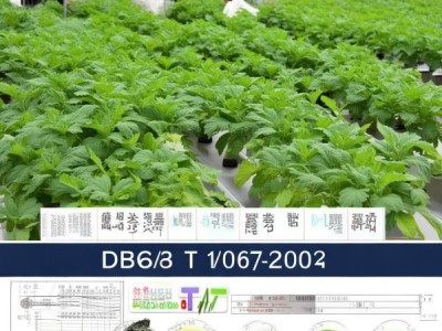 DB62/T 1076-2003 标准在保护地茄子无公害生产中的应用研究