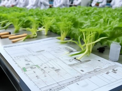 DB54/T 0032-2009标准深度解析，无公害丝瓜保护地生产技术规范