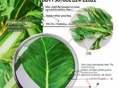 DBS61/0024-2022食品安全标准解读，杜仲叶质量保障解析