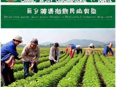 庆市有机甜荞麦生产技术规程应用解析与实施指导