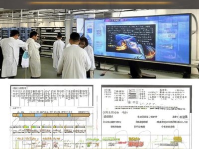 DB41/T 2659-2024羊肚菌生产技术规程深度解析，标准化推动羊肚菌产业升级
