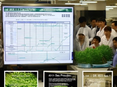 2011-2012 DB31食品安全地方标准解读，工业化豆芽生产卫生规范实施指南