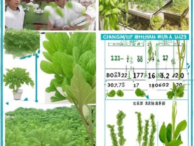 揭秘DB22/T 3527.4-2023，长春60菜豆地方品种资源
