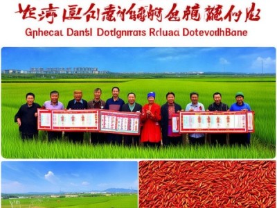 新晃侗藏红米地理标志产品标准发布，开启发展新篇章