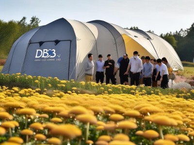 DB33/T 2558.4-2022规程解读，皇菊林下套种菌药技术引领种植新潮