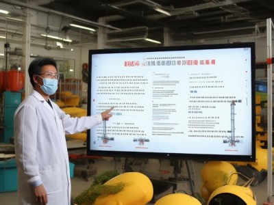 2023版DB13/T 5749-2023饲用杂谷全株青贮技术规程深度解析与应用指导