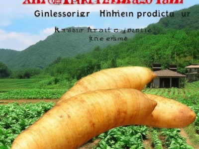 新城细毛山药，地理标志产品中的地域瑰宝传承与创新