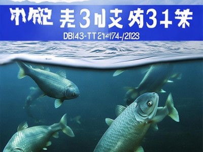 珊珀湖黑鲫，DB43/T 2744-2023地理标志产品背后的独特魅力