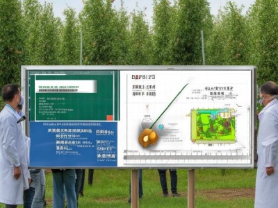 DB14/T 1672-2024 核桃细菌性黑斑病防治技术规程深度解析与实践指导