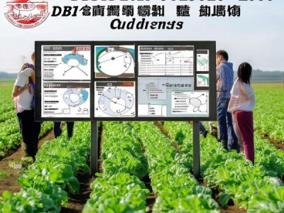 DB51/T 2729-2020，萝卜种植品质与效率提升关键规程