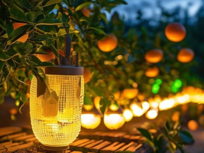 柑橘园诱虫灯技术规范2025解读及实战应用指南
