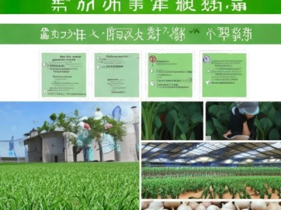 DB15/T 3543-2024标准下大蒜病虫害绿色防控技术解析与应用